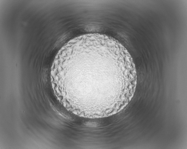 X0000077990171200611251421