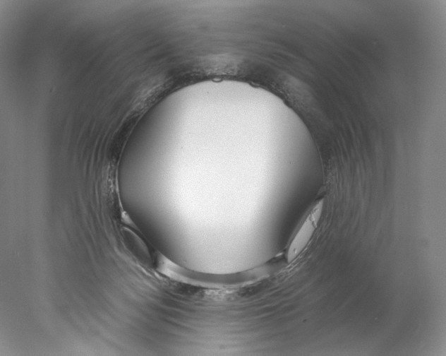X0000077990172200611251421