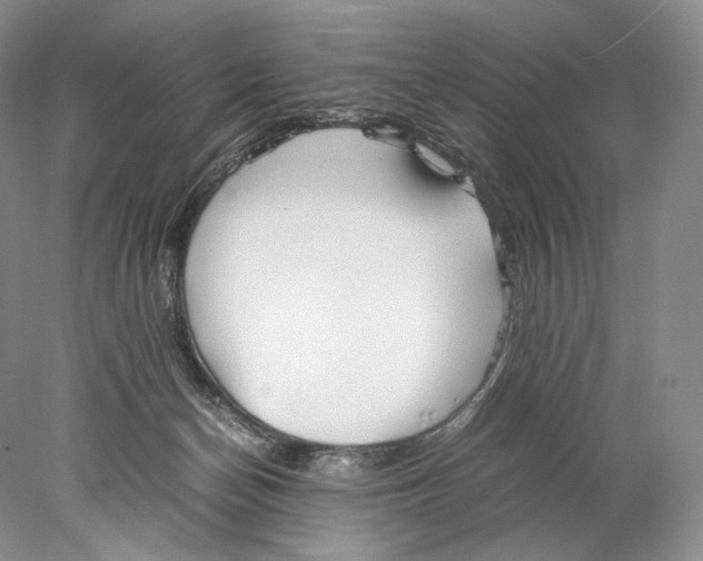 X0000077990174200611251421
