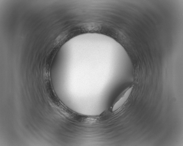 X0000077990176200611251421