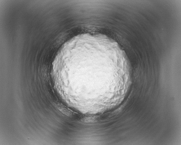X0000077990178200611251421