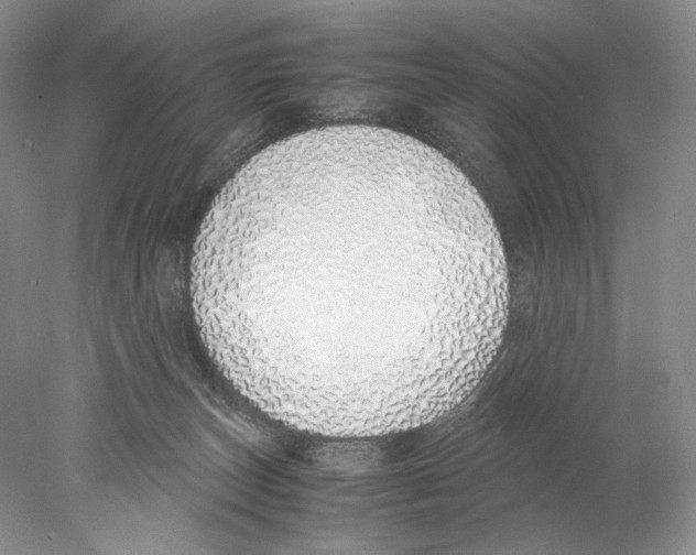 X0000077990179200611251421