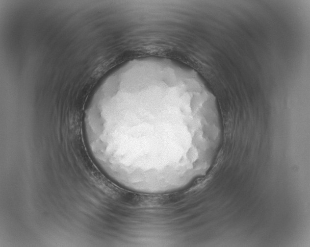 X0000077990182200611251421
