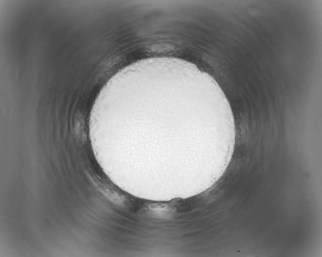 X0000077990187200611251421