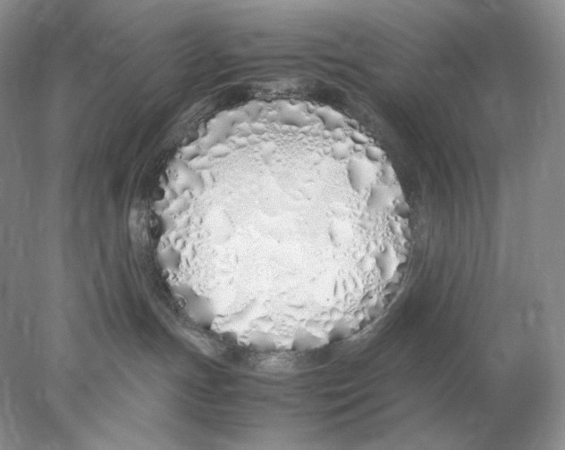 X0000077990191200611251421