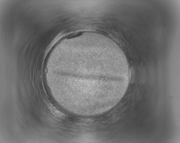X0000077990195200611251420