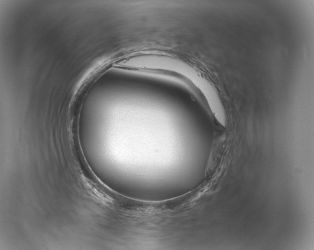 X0000077990197200611251420
