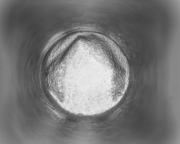X0000077990199200611251420