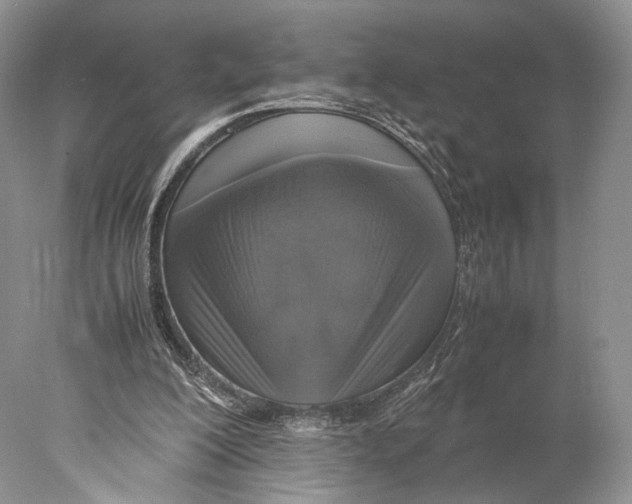 X0000077990200200611251420