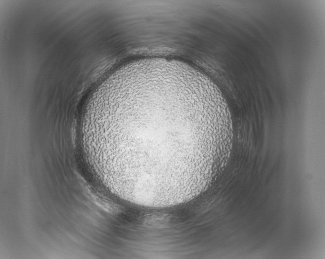 X0000077990206200611251420