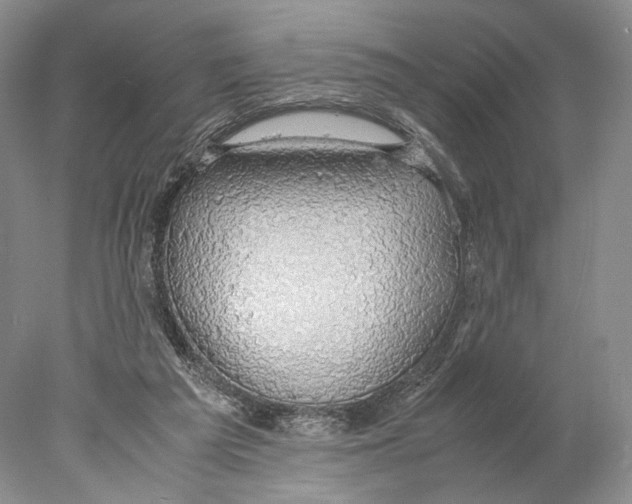 X0000077990209200611251420