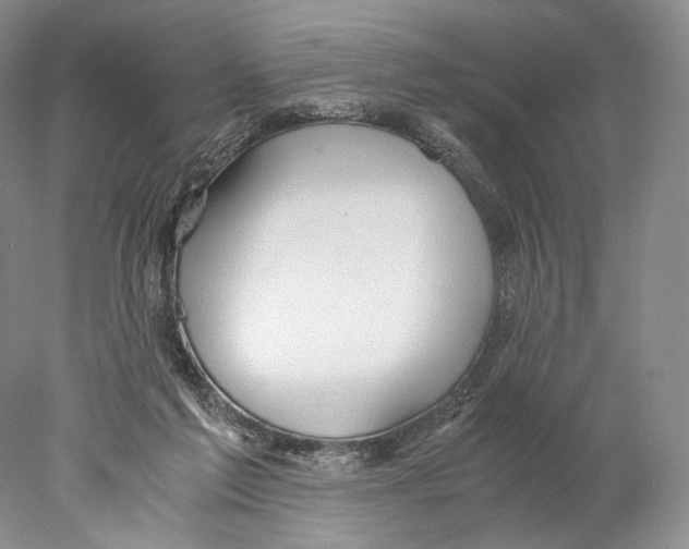 X0000077990213200611251420