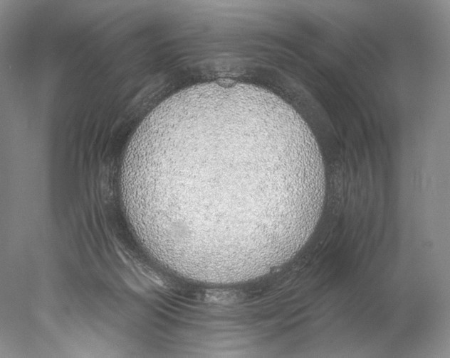 X0000077990218200611251420