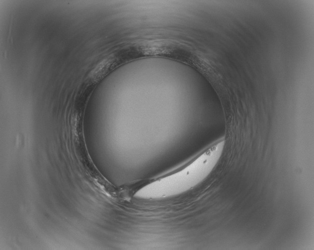 X0000077990219200611251420