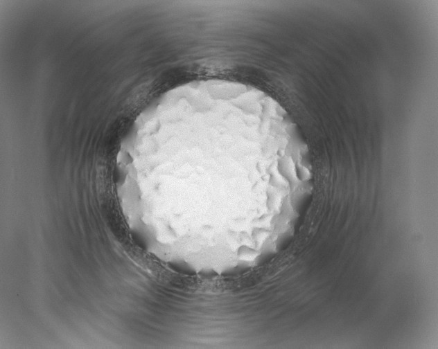 X0000077990222200611251420