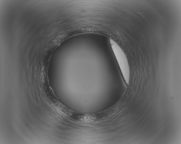 X0000077990223200611251420