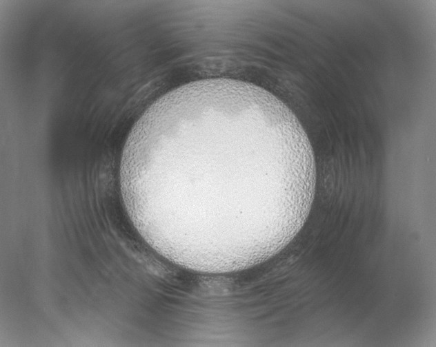 X0000077990226200611251419