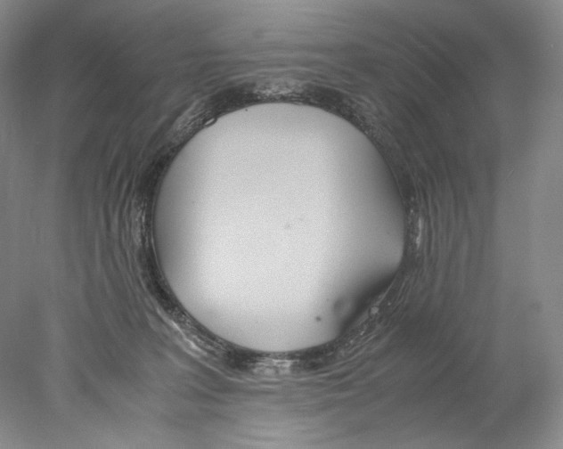 X0000077990227200611251419