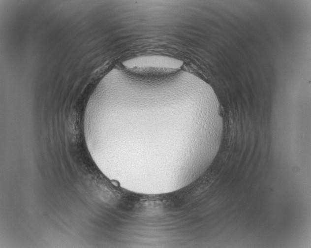 X0000077990228200611251419