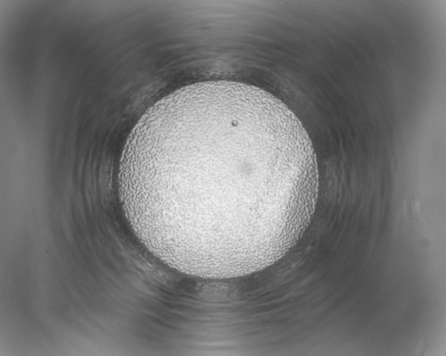 X0000077990230200611251419