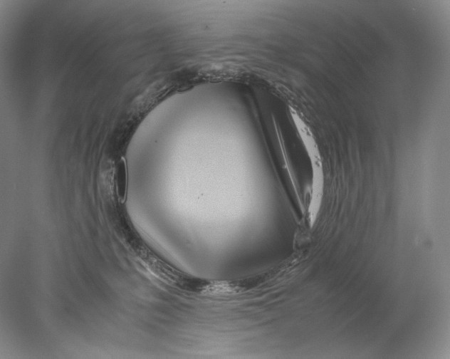 X0000077990231200611251419