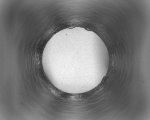 X0000077990232200611251419