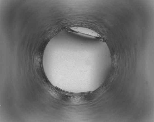 X0000077990235200611251419
