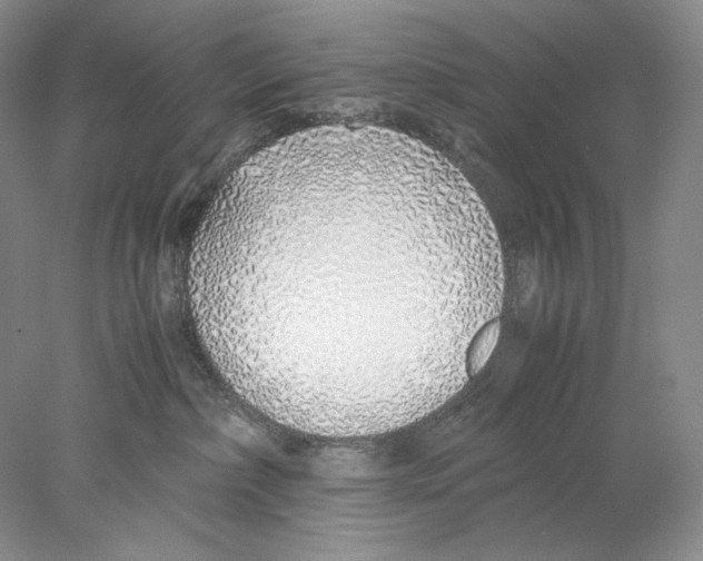 X0000077990236200611251419
