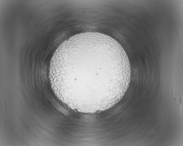 X0000077990238200611251419