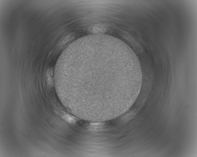X0000077990240200611251419