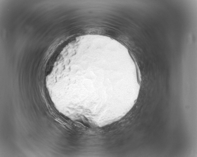 X0000077990241200611251418