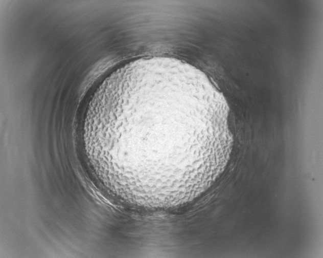X0000077990242200611251418