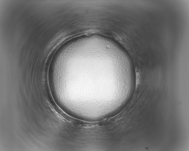 X0000077990243200611251418
