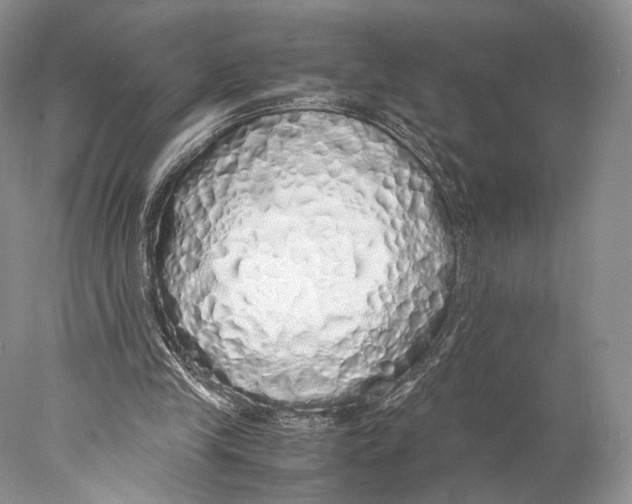 X0000077990245200611251419