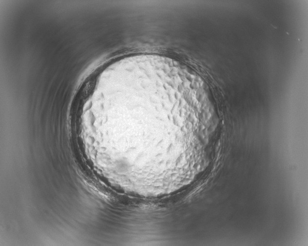 X0000077990246200611251419