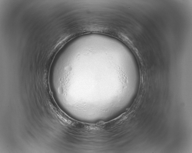 X0000077990249200611251419