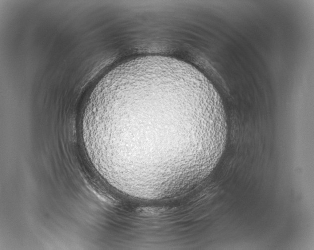 X0000077990251200611251419