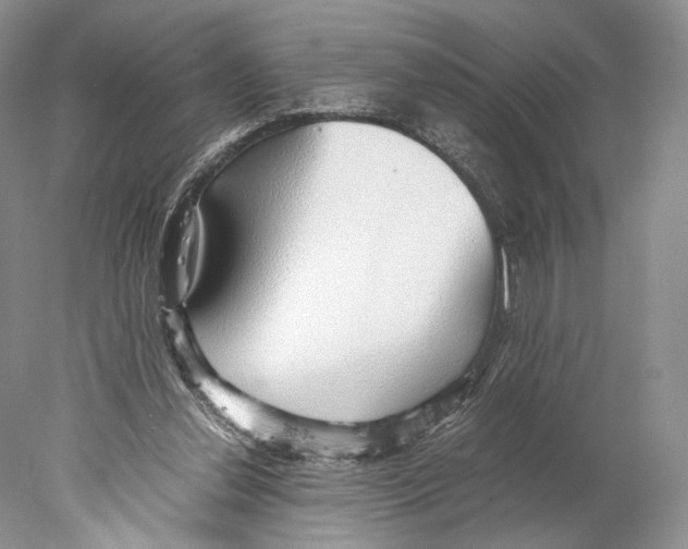X0000077990252200611251419