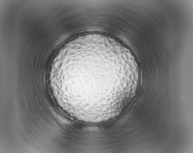 X0000077990253200611251419