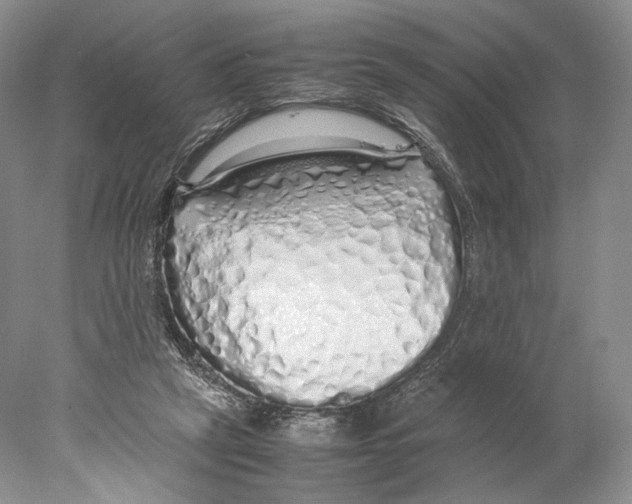 X0000077990257200611251419