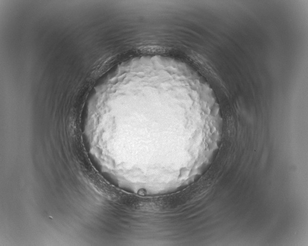 X0000077990259200611251419