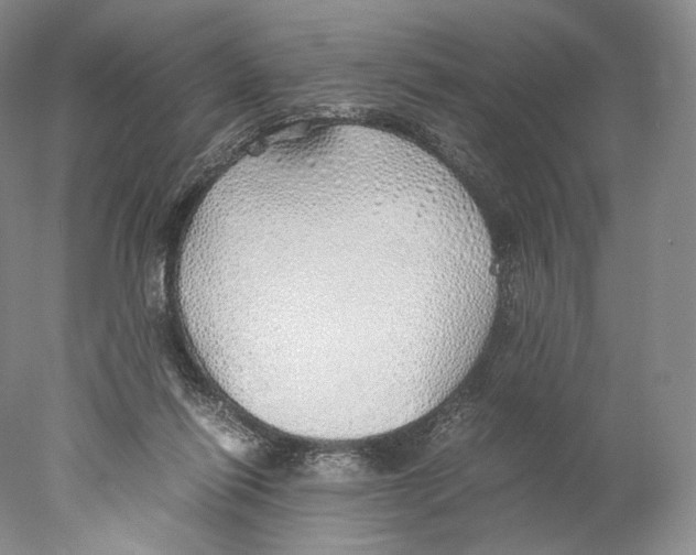 X0000077990262200611251419