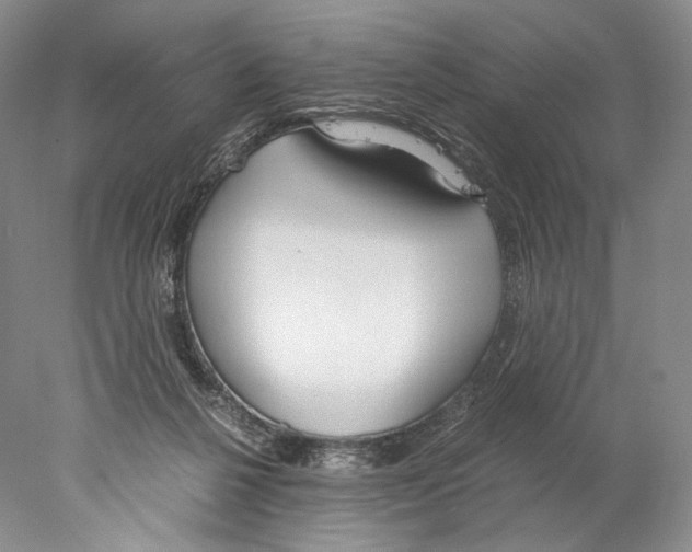X0000077990264200611251419