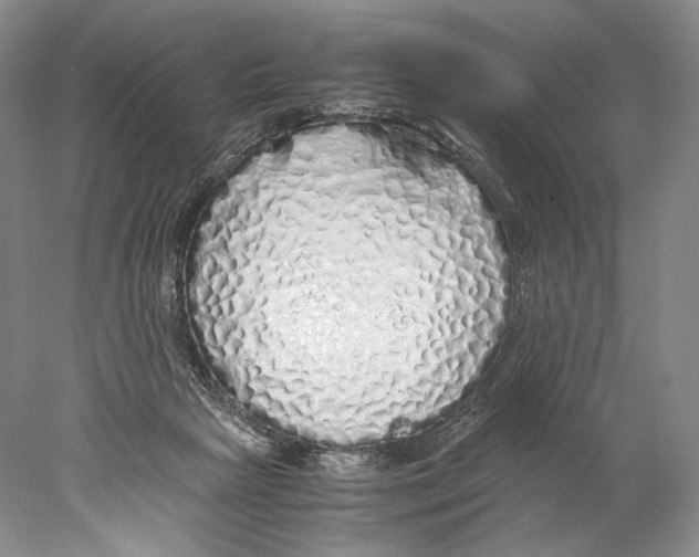 X0000077990265200611251419