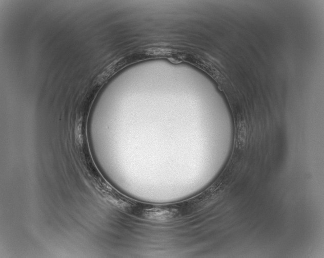 X0000077990267200611251419