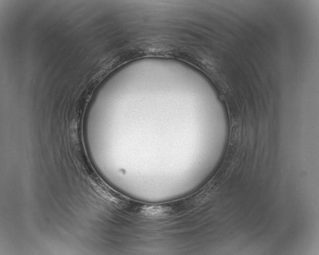 X0000077990269200611251419