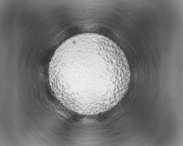 X0000077990270200611251419