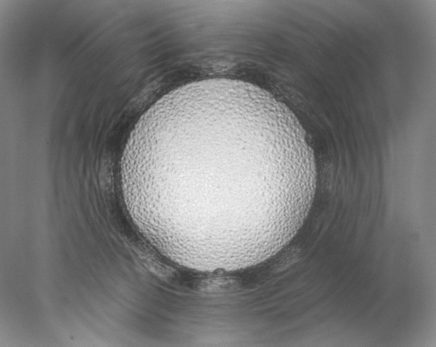 X0000077990274200611251419