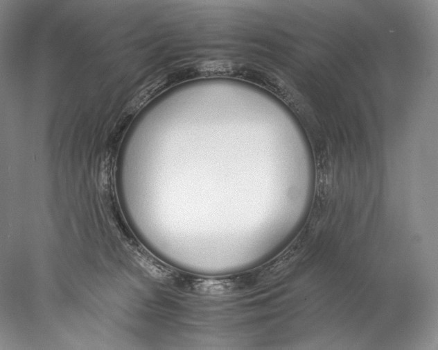 X0000077990277200611251419