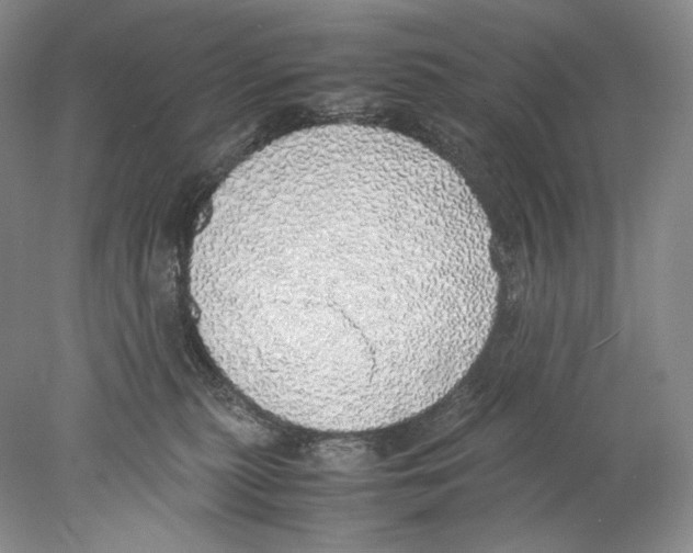 X0000077990279200611251419